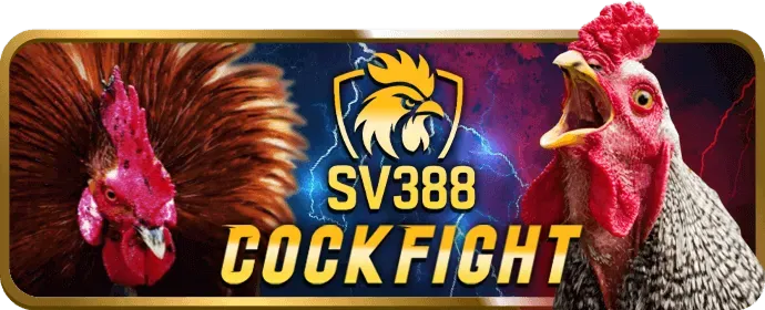 Hệ thống bảo mật an toàn của mb661 win
