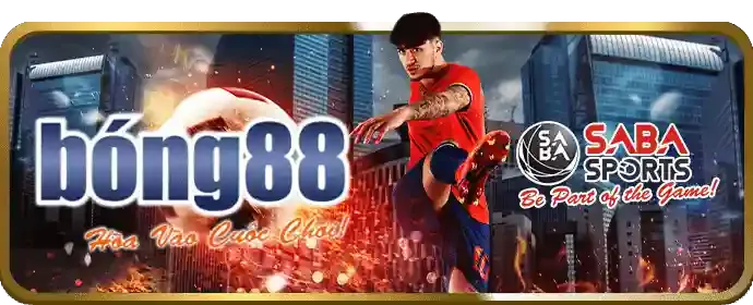 Hai chú gà chọi đang thi đấu, thể hiện cá cược đá gà mb661 win
